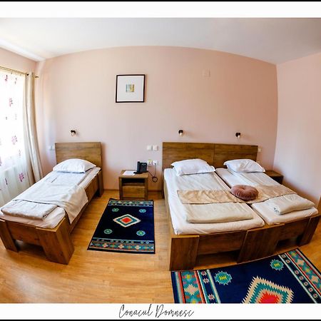 Hotel Conacul Domnesc à Scheia Extérieur photo
