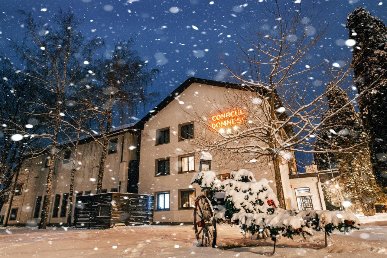 Hotel Conacul Domnesc à Scheia Extérieur photo