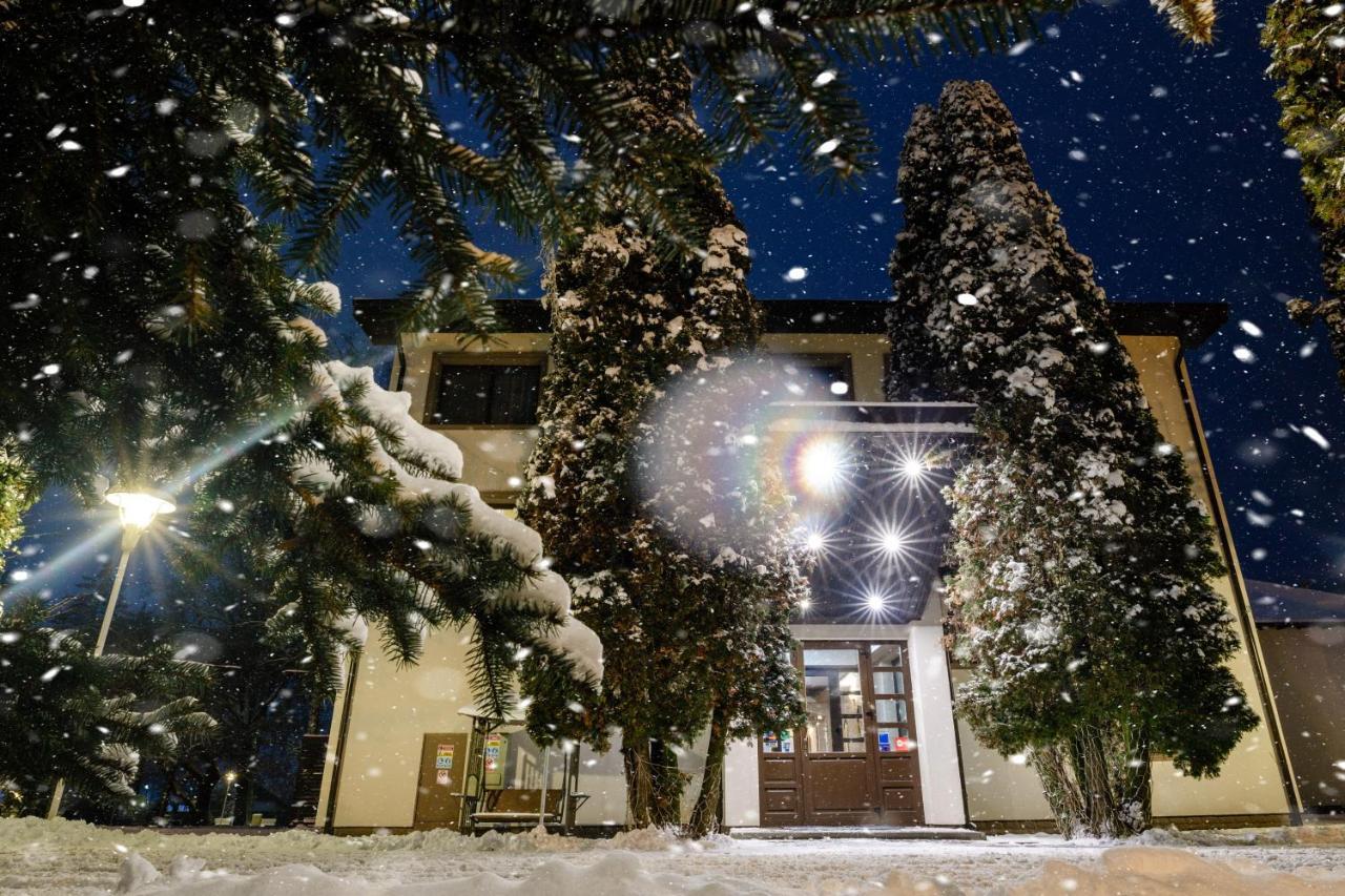 Hotel Conacul Domnesc à Scheia Extérieur photo
