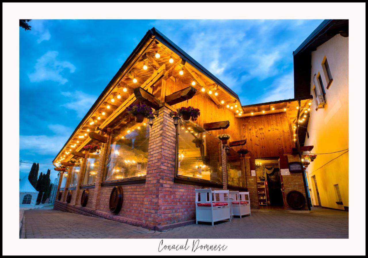 Hotel Conacul Domnesc à Scheia Extérieur photo