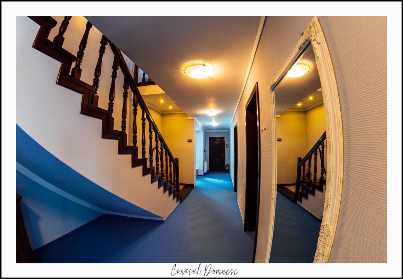 Hotel Conacul Domnesc à Scheia Extérieur photo