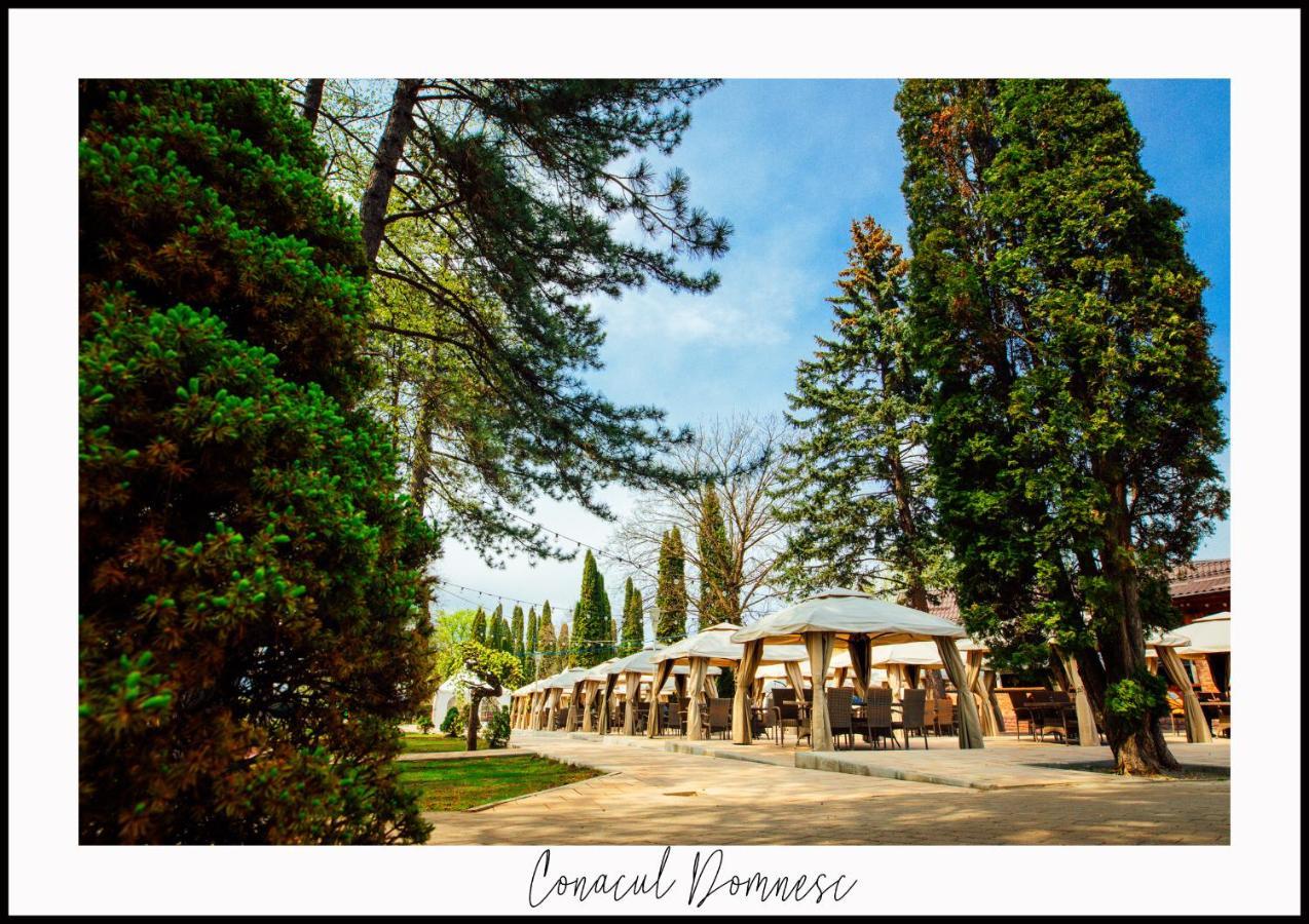 Hotel Conacul Domnesc à Scheia Extérieur photo