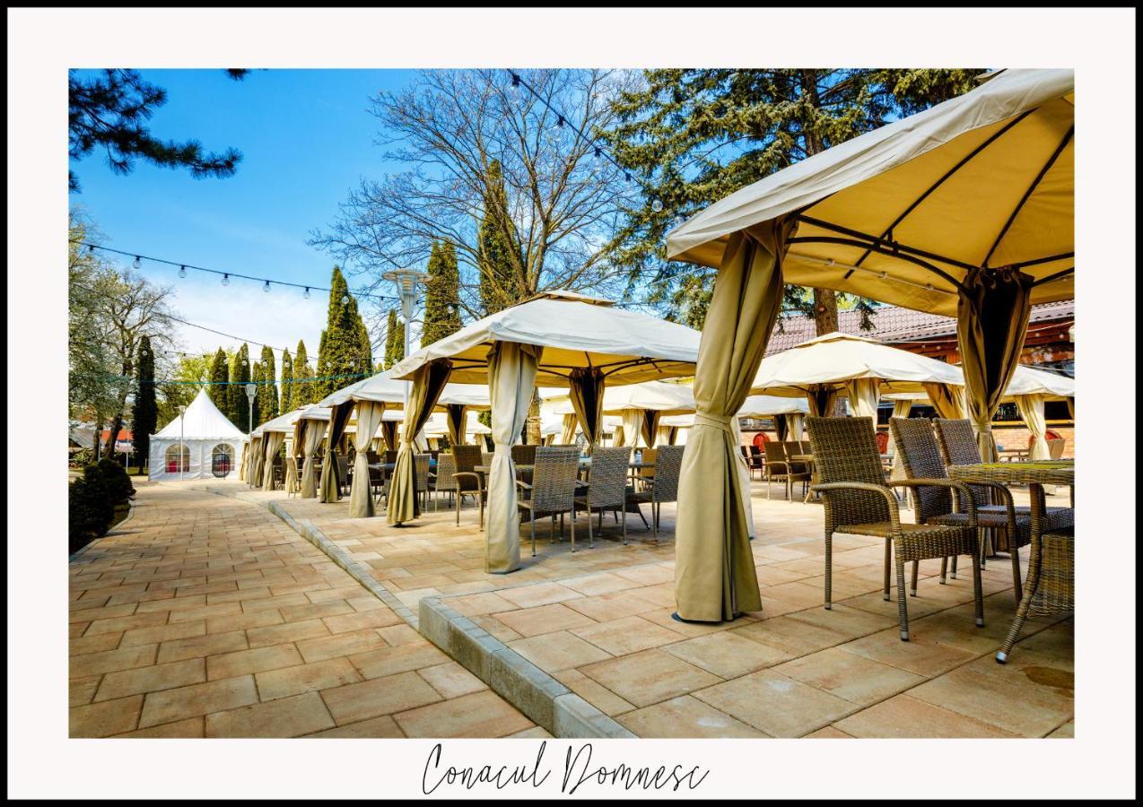 Hotel Conacul Domnesc à Scheia Extérieur photo