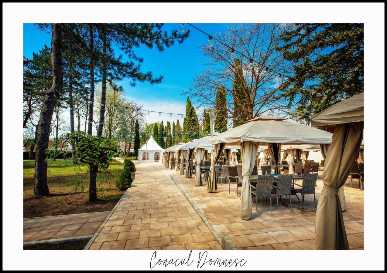 Hotel Conacul Domnesc à Scheia Extérieur photo