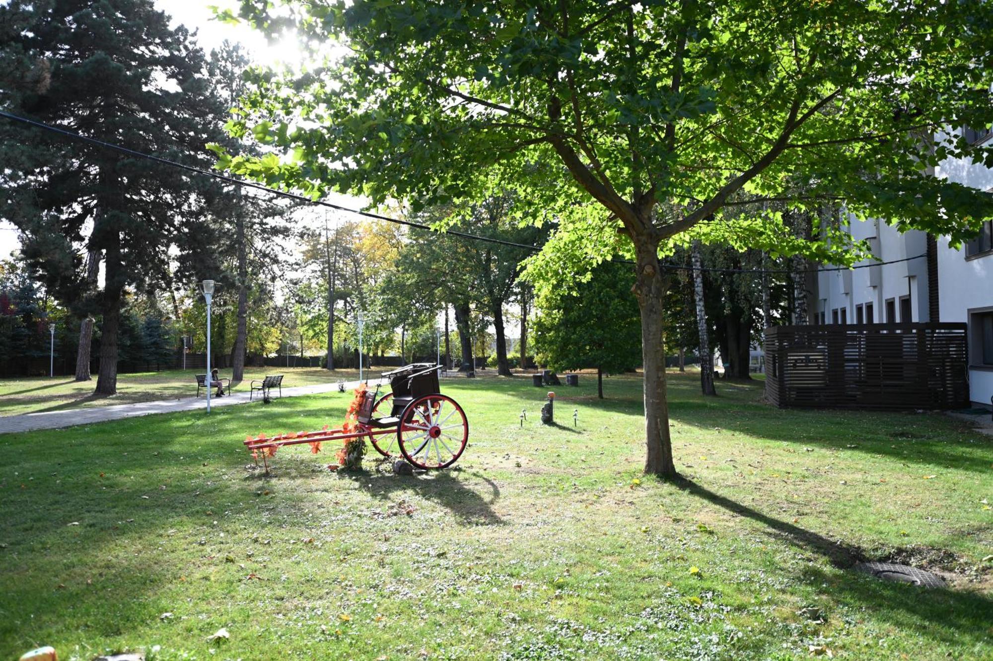 Hotel Conacul Domnesc à Scheia Extérieur photo