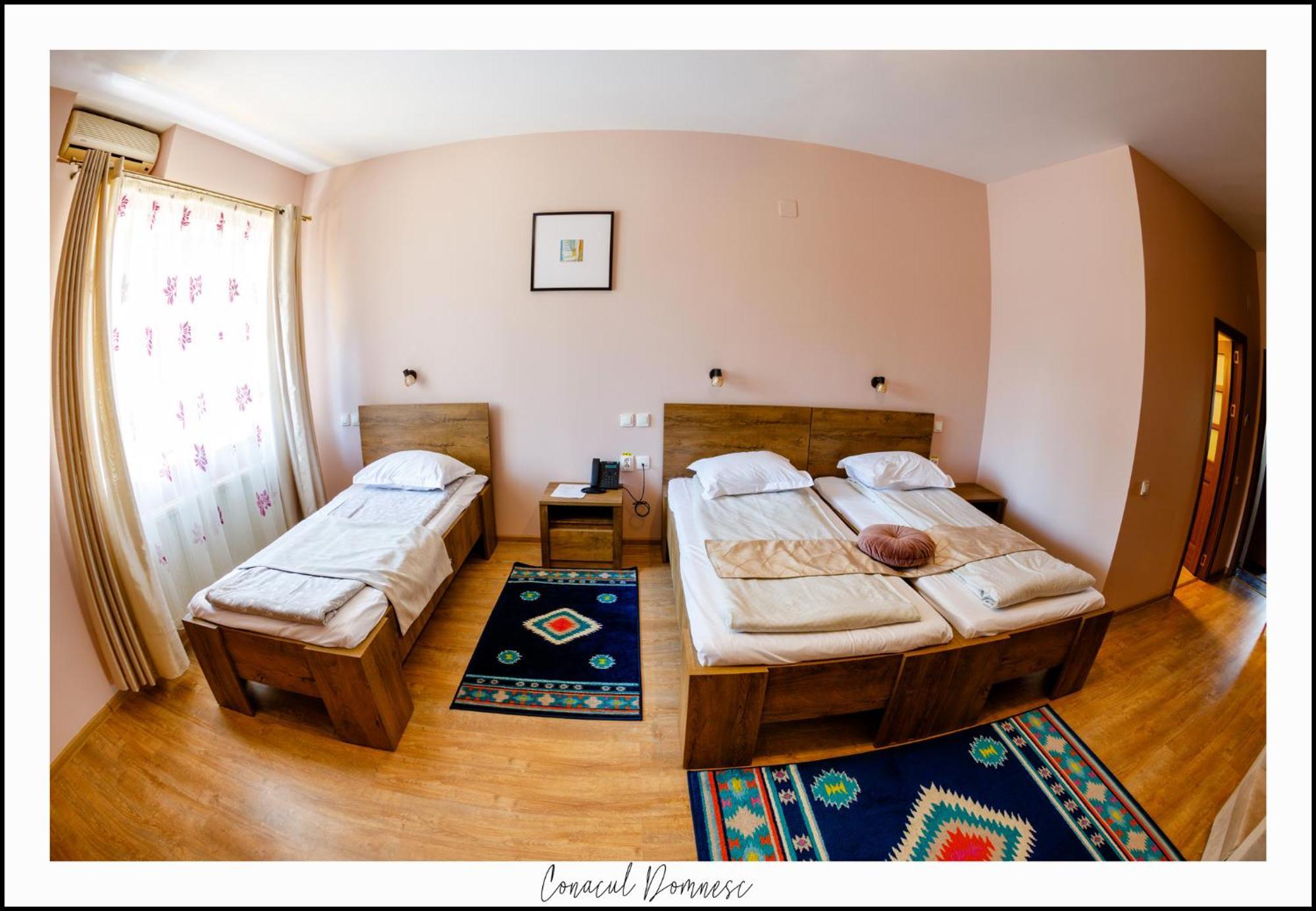 Hotel Conacul Domnesc à Scheia Extérieur photo